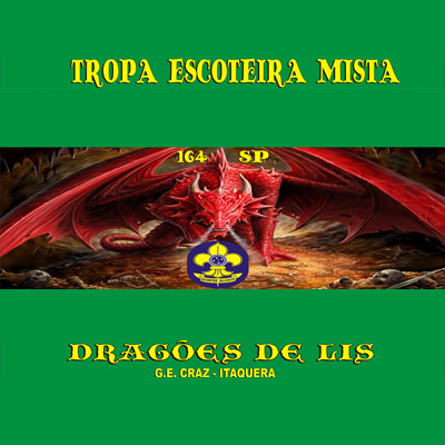 Tropa Escoteira Mista