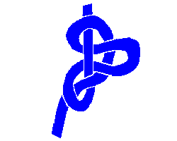 arnes